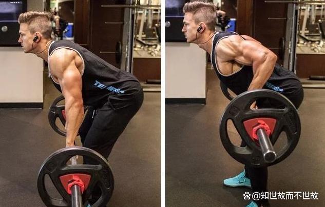 每天练背8分钟是回报率最高的运动!健身圈最被低估的黄金法则