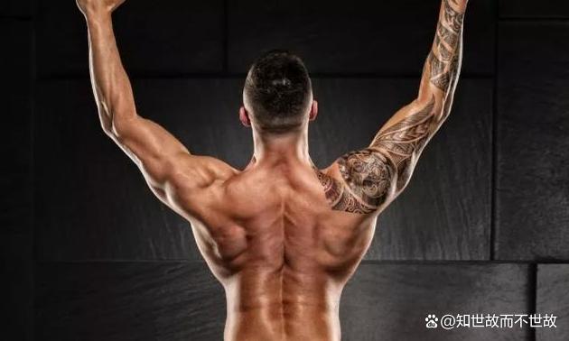 每天练背8分钟是回报率最高的运动!健身圈最被低估的黄金法则