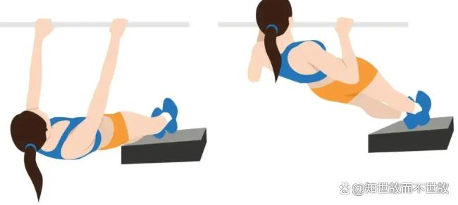 每天练背8分钟是回报率最高的运动!健身圈最被低估的黄金法则