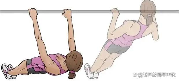 每天练背8分钟是回报率最高的运动!健身圈最被低估的黄金法则