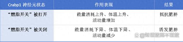 夜里这个坏习惯?正在偷偷关闭你的“燃脂开关”!