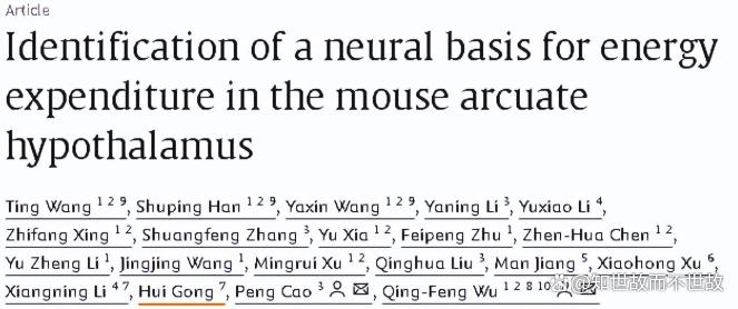 夜里这个坏习惯?正在偷偷关闭你的“燃脂开关”!