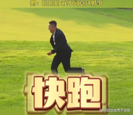 黑天鹅抢亲:一场意外的婚纱照保卫战