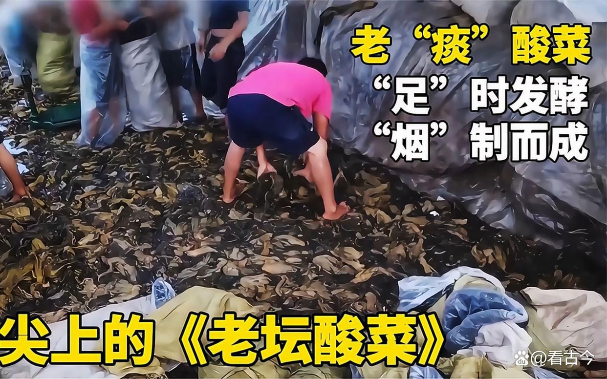 这酸菜腌制操作太“辣眼”!还有多少“老痰酸菜”流入了市场?