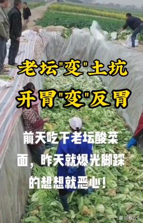 这酸菜腌制操作太“辣眼”!还有多少“老痰酸菜”流入了市场?