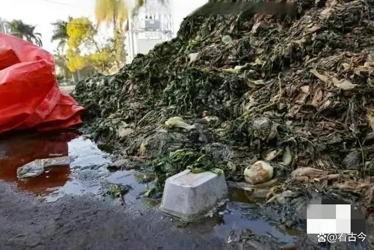 这酸菜腌制操作太“辣眼”!还有多少“老痰酸菜”流入了市场?