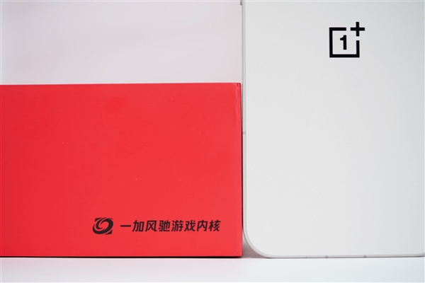 豹纹马：一种基因突变的独特的马(图3)