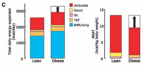 一个比散步还简单的动作 每天只需10分钟 就能改善体态、缓解肩颈痛(图3)