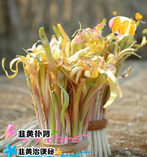 韭黄与韭菜的区别？品味不同