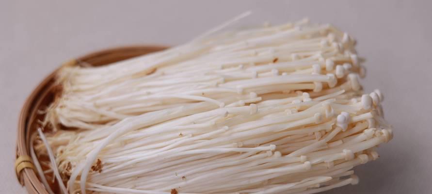 金针菇种植全过程？从选种到收成