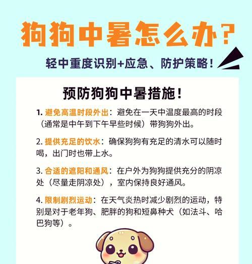 狗狗中暑怎么办？防止狗狗中暑的实用方法