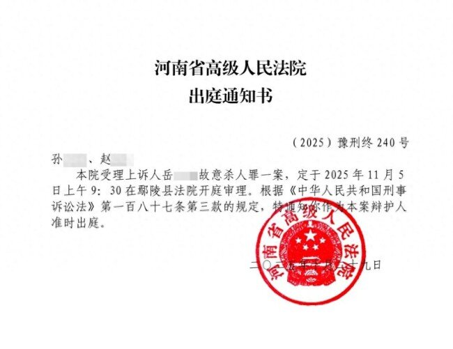 夫妻争夺抚养权小舅子捅死姐夫 一审被判死缓二审将开庭