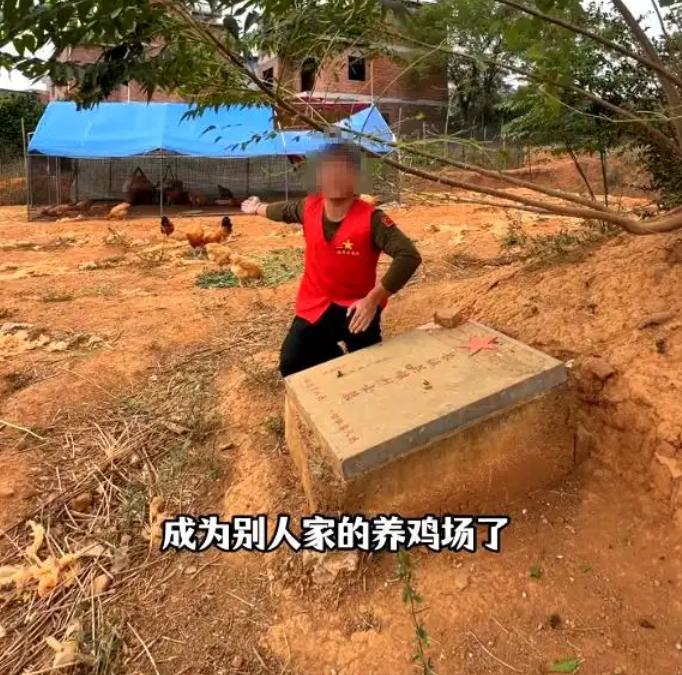 烈士墓园变养鸡场引众怒 当地政府紧急整改守护英灵尊严