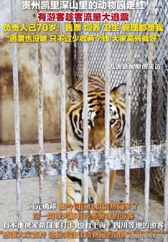 藏在深山十年?凯里动物园因一位七旬老人火了!