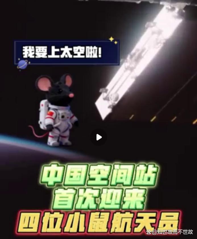 太空鼠小弟揭秘宇宙健康密码?中国航天员首次在轨饲养小鼠!