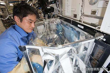 太空鼠小弟揭秘宇宙健康密码?中国航天员首次在轨饲养小鼠!