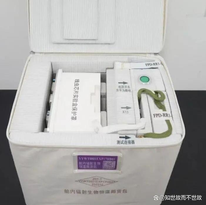 太空鼠小弟揭秘宇宙健康密码?中国航天员首次在轨饲养小鼠!