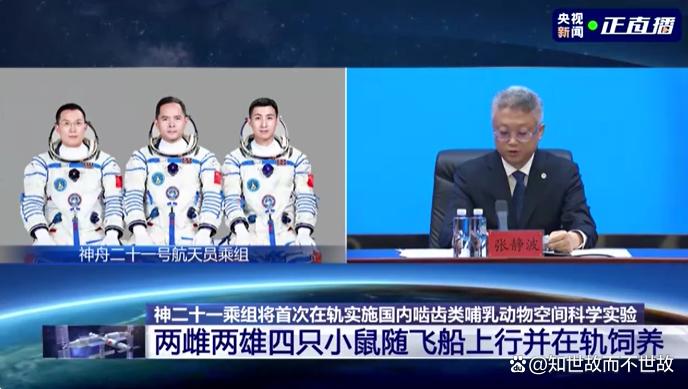 太空鼠小弟揭秘宇宙健康密码?中国航天员首次在轨饲养小鼠!