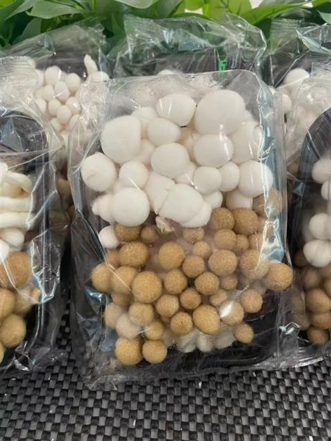 这蘑菇吃着竟然有龙虾味：背后还藏着一起“谋杀案”！(图3)