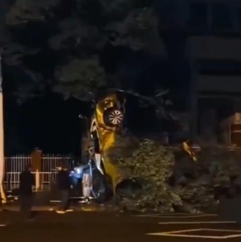 重庆一汽车发生翻车事故:车尾朝天靠树上 气囊弹开男子自行脱困爬出(图1)