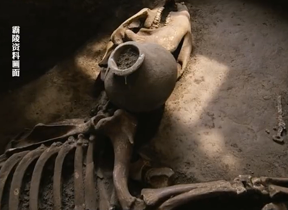 汉文帝霸陵发现进口宝马:系“西域天马”后代-图1 汉文帝霸陵发现进口宝马:系“西域天马”后代-图1