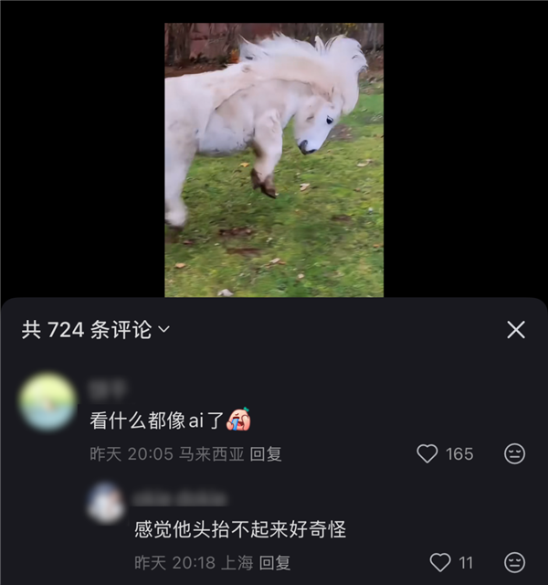 刷到一个又一个假视频后 我不敢相信互联网了-图8 刷到一个又一个假视频后 我不敢相信互联网了-图8