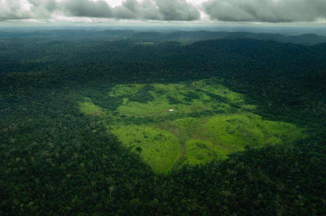 10月全球前沿气候科学研究&极端天气气候事件 森林减少与洪水频发