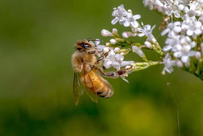 10月全球前沿气候科学研究&极端天气气候事件 森林减少与洪水频发