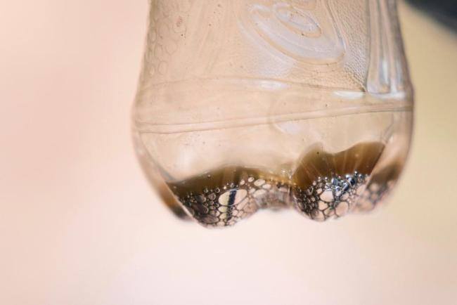 10月全球前沿气候科学研究&极端天气气候事件 森林减少与洪水频发