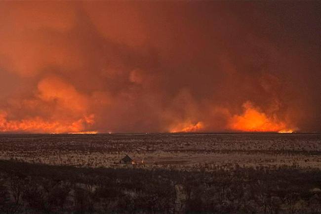 10月全球前沿气候科学研究&极端天气气候事件 森林减少与洪水频发