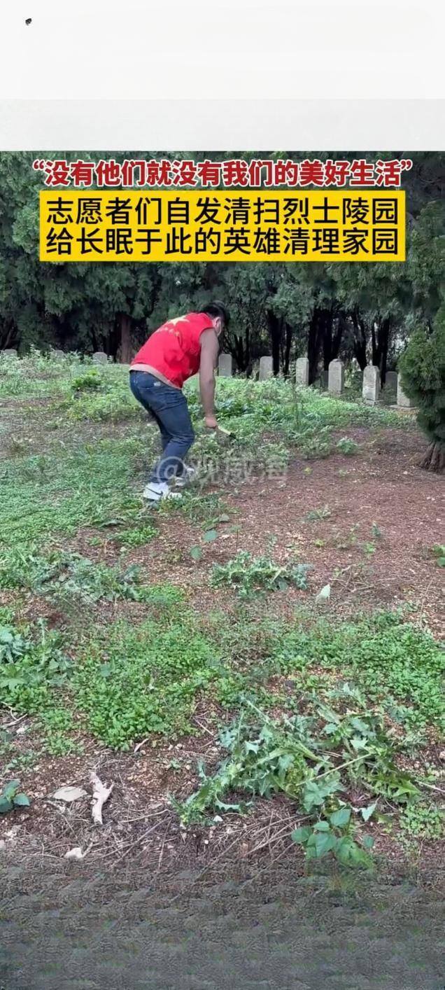 青年人相约自发清扫烈士陵园 缅怀先烈传承红色基因
