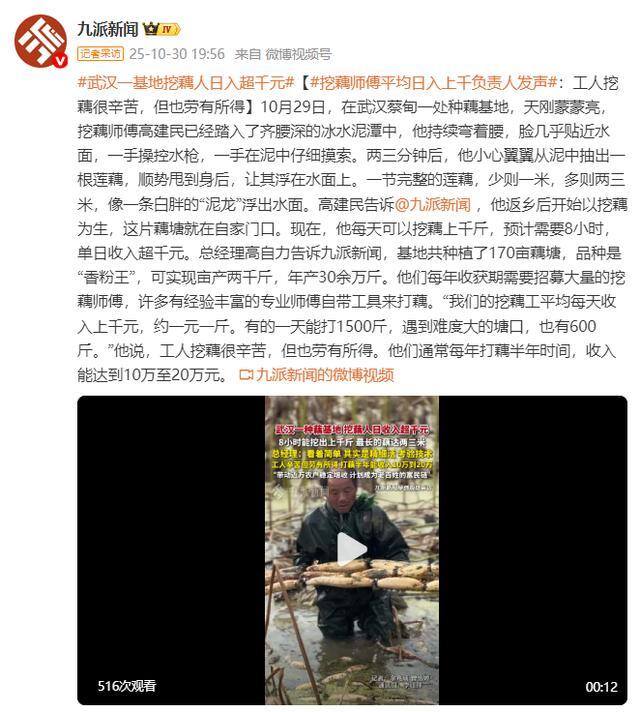 武汉挖藕人日收入超千元 辛勤劳动换来丰厚回报