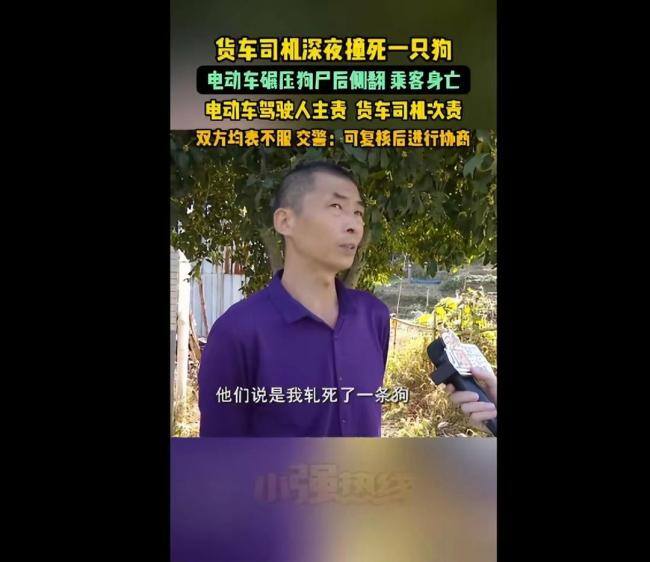 货车轧死狗后惹出人命 司机喊冤引发热议