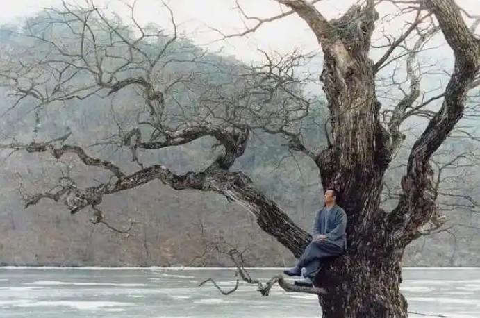 第一批“佛系”00后陆续还俗 短暂出家现象引发社会思考