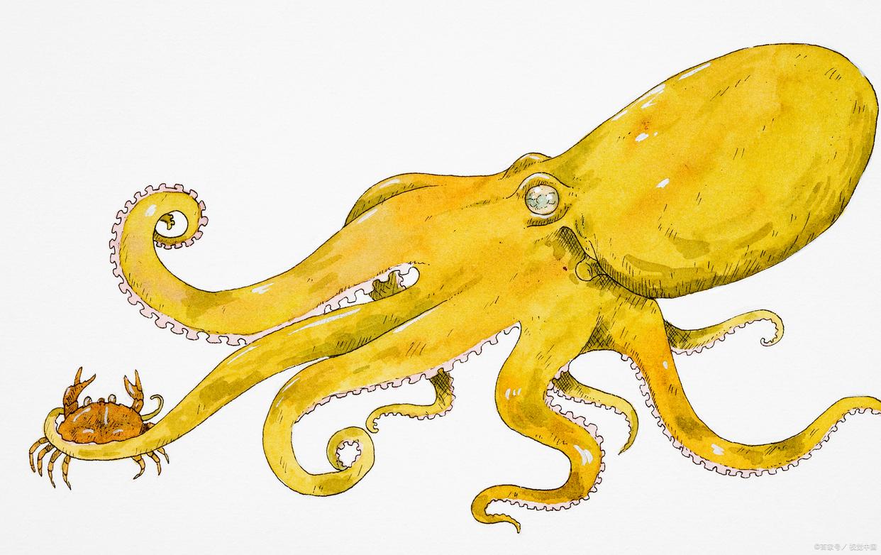 台湾街头惊现“巨型乌贼”喷吐黑烟 艺术装置引发环保热议