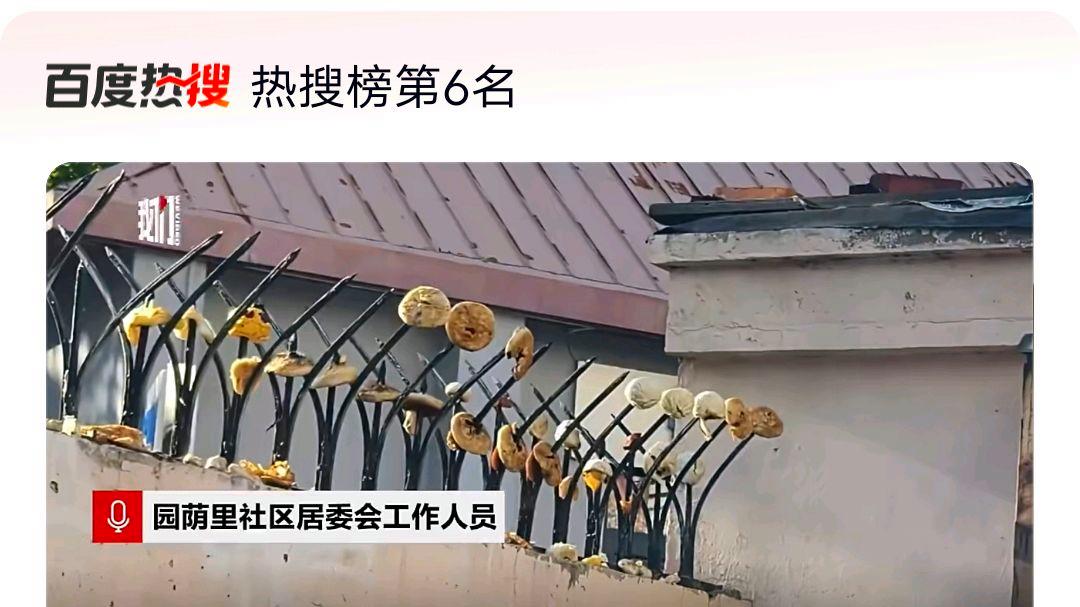 天津一小区围墙防盗刺插满烧饼馒头?网友:最好查一下回收链条