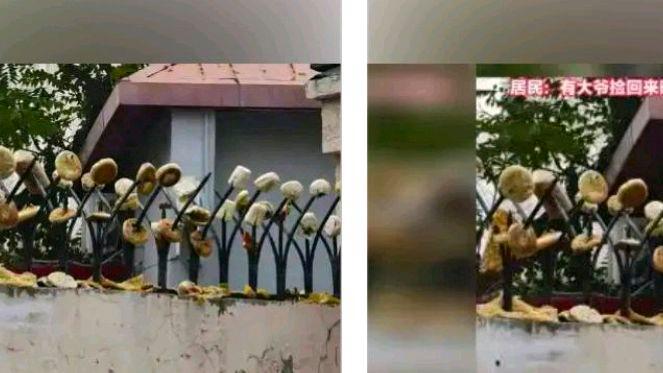 天津一小区围墙防盗刺插满烧饼馒头?网友:最好查一下回收链条