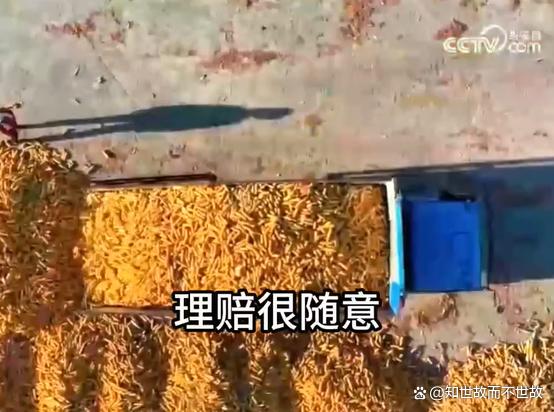 农业保险乱象调查:千元投入受灾仅赔九元?谁在啃食农民的“安全垫”?