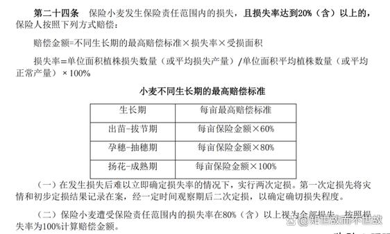 农业保险乱象调查:千元投入受灾仅赔九元?谁在啃食农民的“安全垫”?