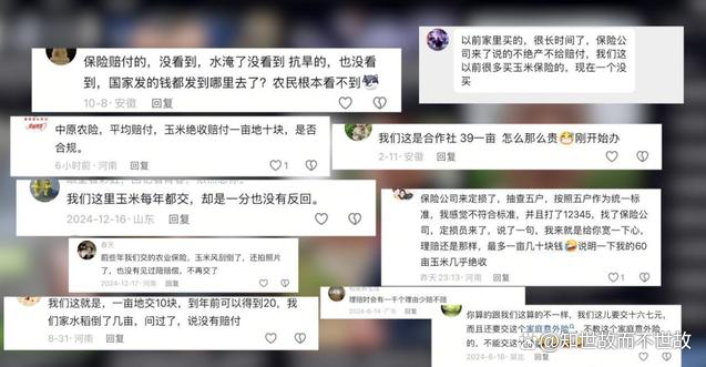 农业保险乱象调查:千元投入受灾仅赔九元?谁在啃食农民的“安全垫”?