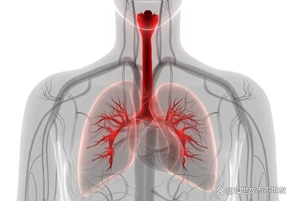 加湿器加精油致肺炎?隐藏在你家卧室的“健康杀手”!