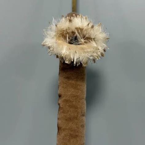 遇到这种“爆炸烤肠” 千万别随便捡回家！(图7)