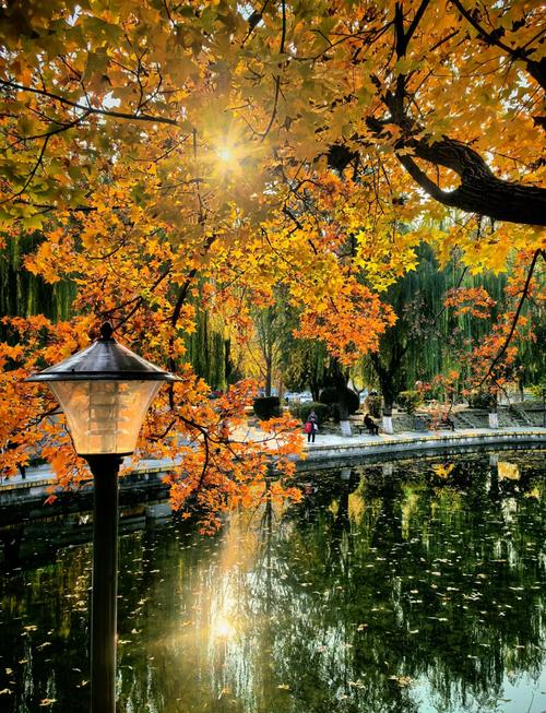 秋天石家庄市区风景好的地方?秋天石家庄好玩的地方有哪些