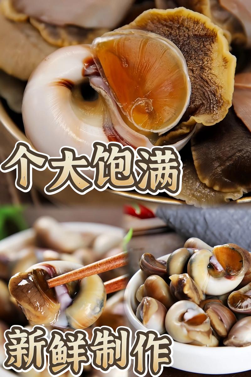 吃香螺有什么功效作用呢?香螺有什么营养价值