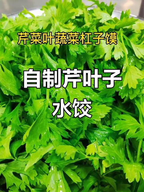 芹菜叶能做饺子馅吗??芹菜叶能做饺子馅吗