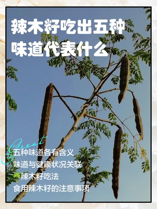 吃辣木籽味道苦怎么办?吃辣木籽很苦还能继续吃吗