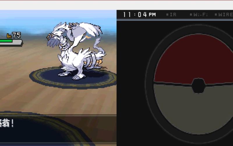 口袋妖怪白2宠物分布?口袋妖怪白2主宠