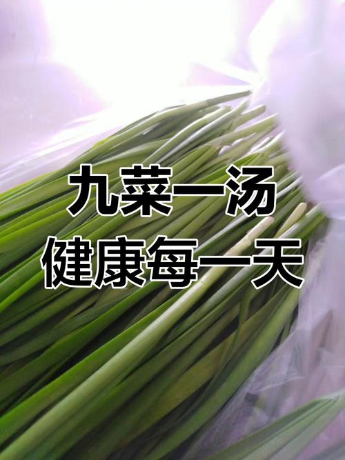 9菜一汤什么意思?9菜一汤寓意