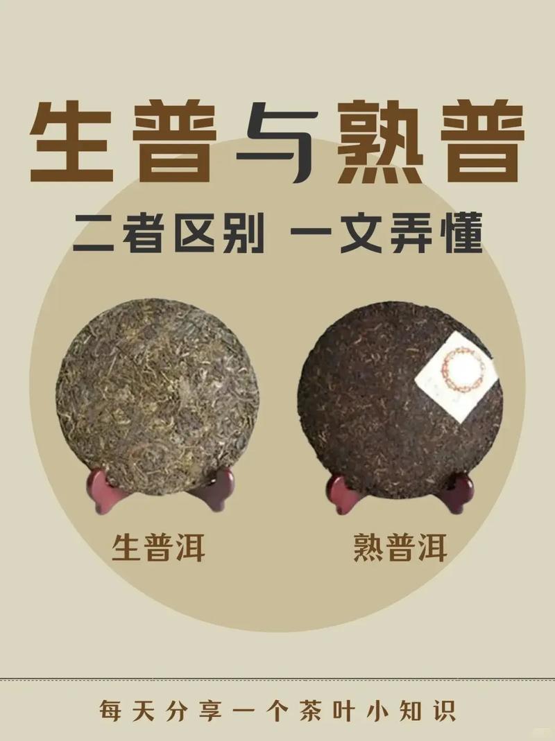 普洱生茶与熟茶可以一起煮吗?普洱生茶可以和熟茶混在一起喝吗