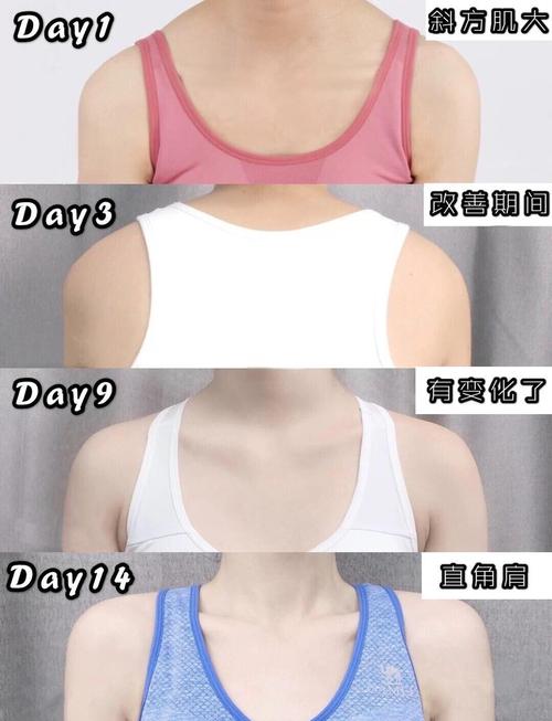 如何让肩膀变宽点女生?怎么让肩膀变宽女生